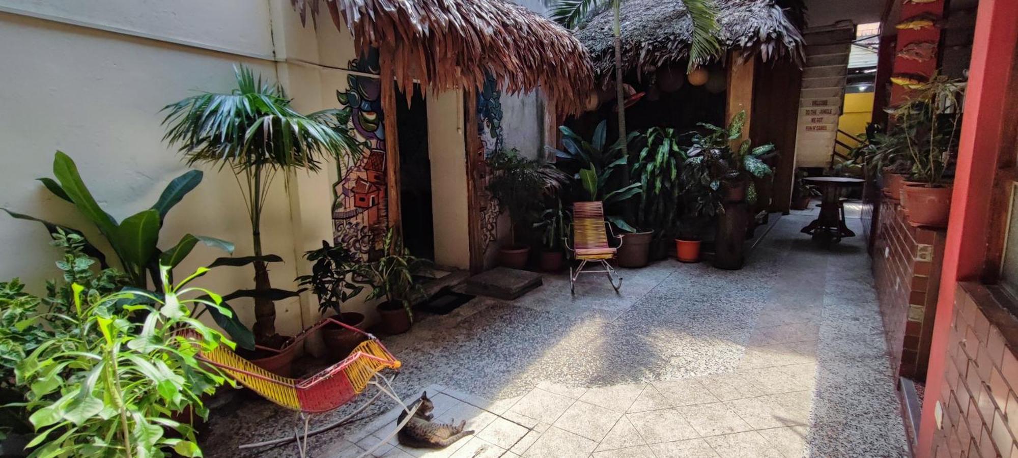 Flying Dog Hostel Iquitos Esterno foto