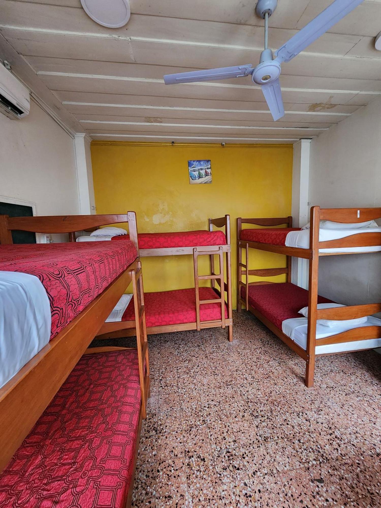 Flying Dog Hostel Iquitos Esterno foto