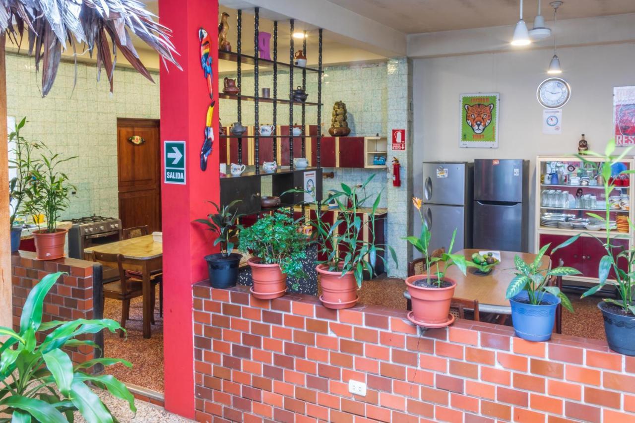 Flying Dog Hostel Iquitos Esterno foto