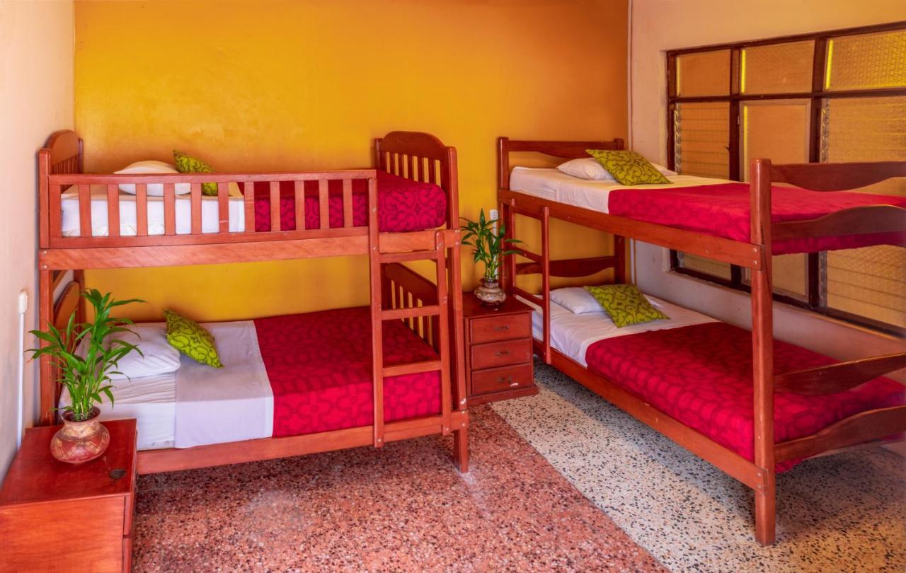 Flying Dog Hostel Iquitos Esterno foto