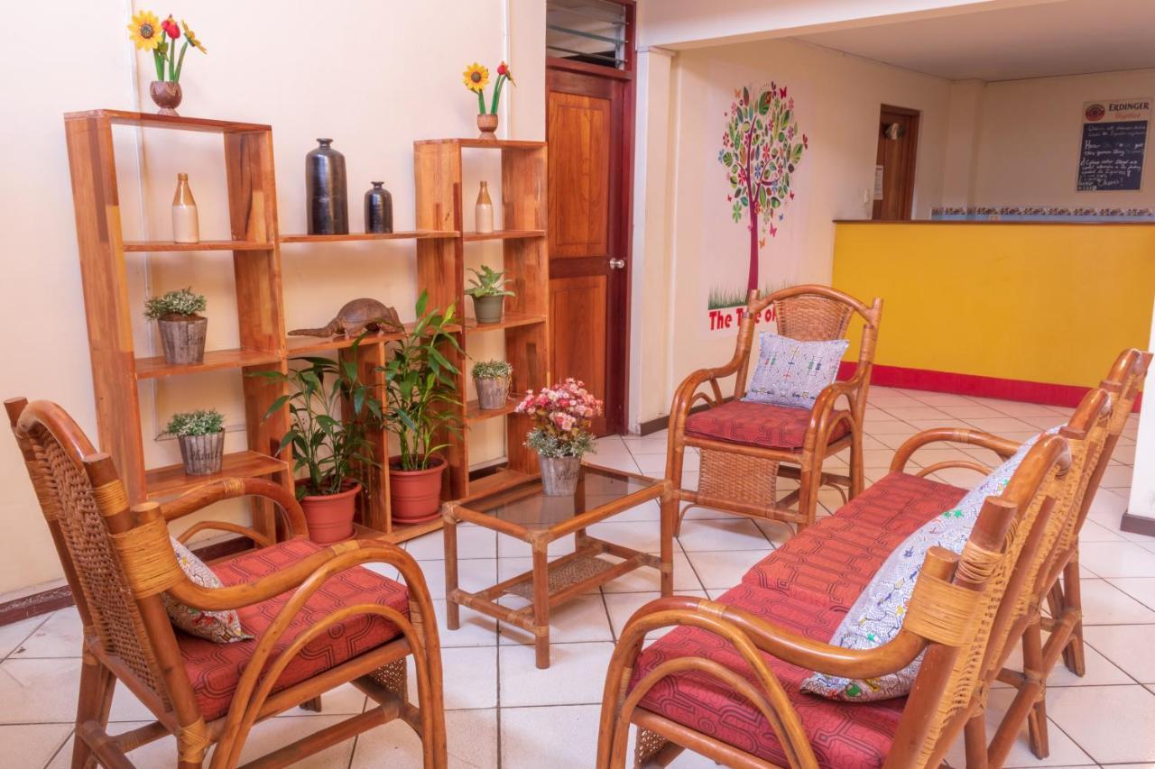 Flying Dog Hostel Iquitos Esterno foto