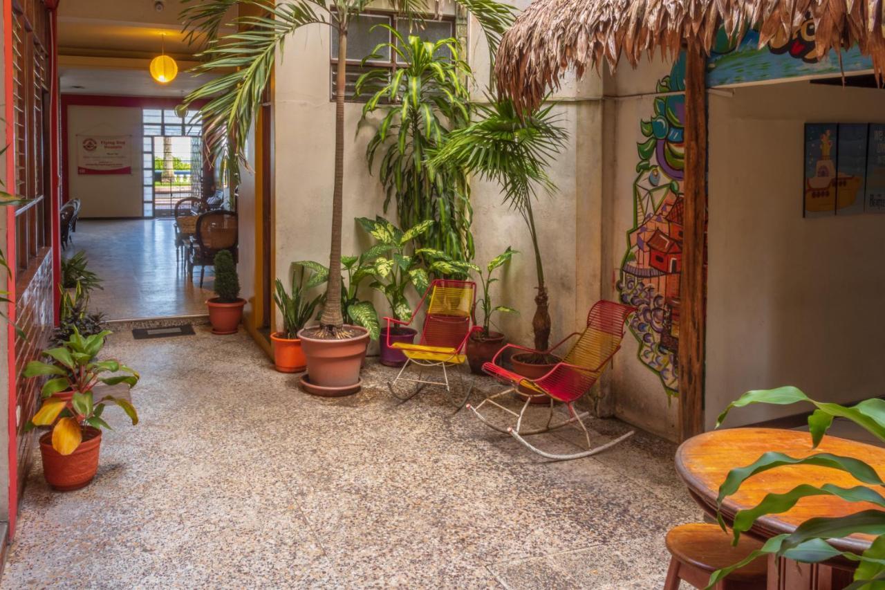 Flying Dog Hostel Iquitos Esterno foto